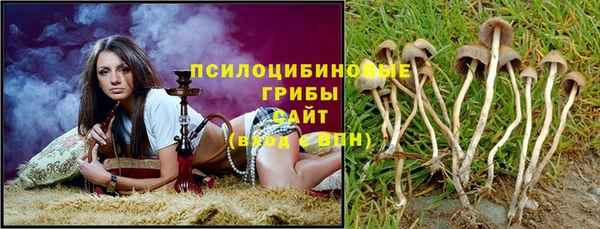 спиды Киреевск