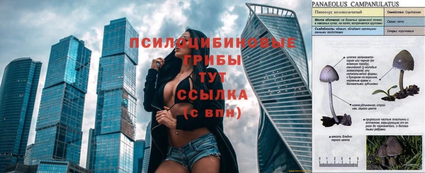 mdpv Кинешма